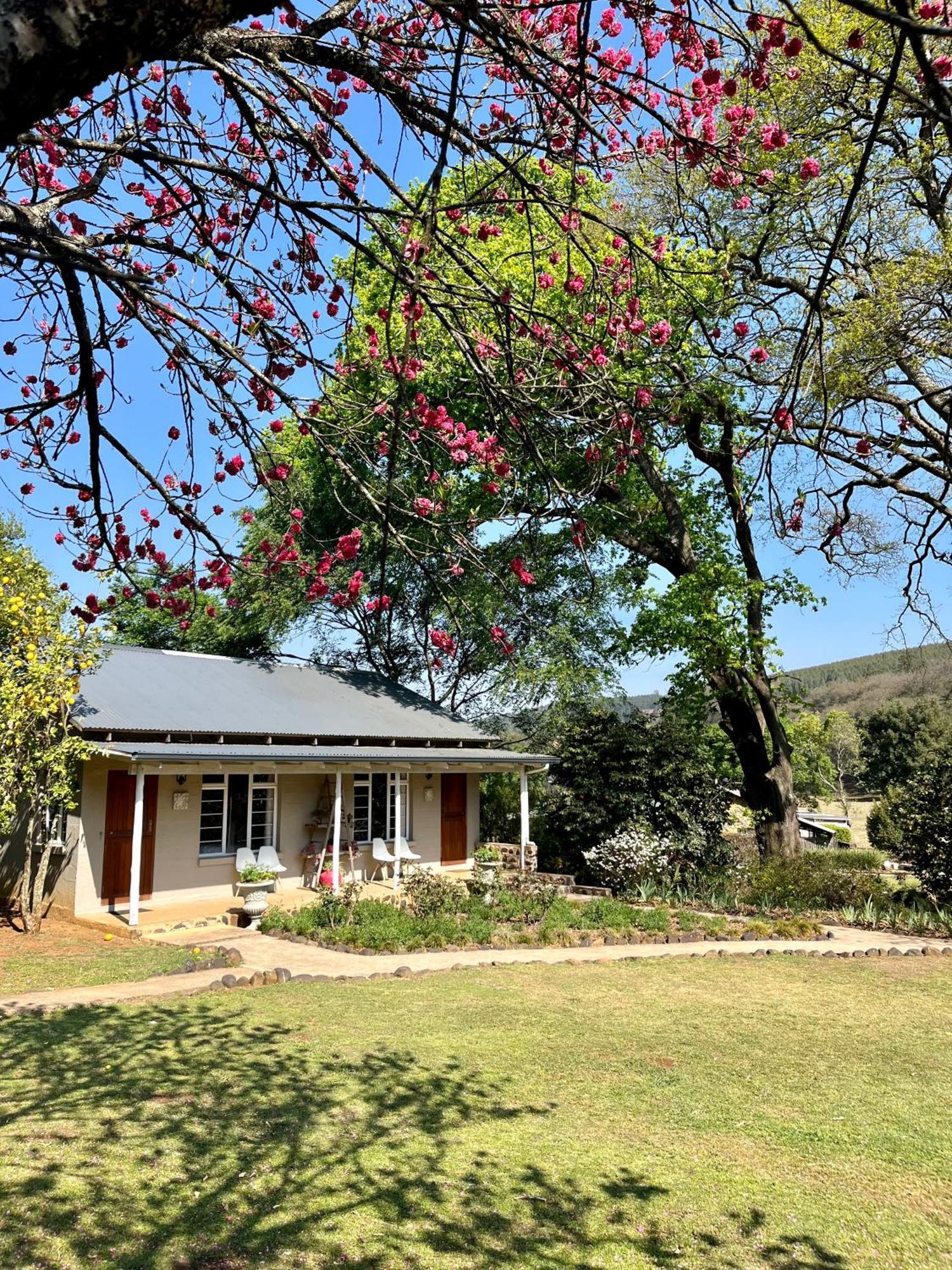 Gowan Valley Guest Farm Balgowan Exterior photo